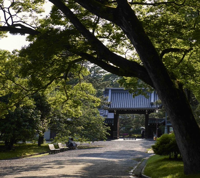 京都御苑(現地より約680m 2024年5月撮影) 