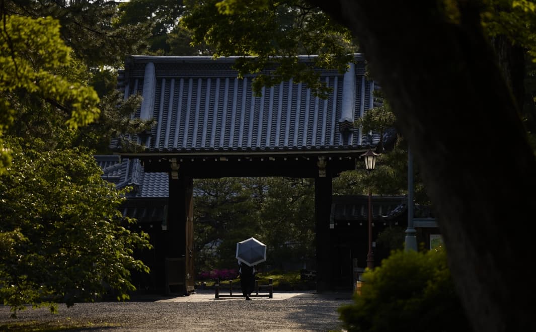 京都御苑（現地より約680m 2024年5月撮影）